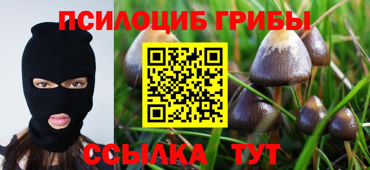 Вязники  Галлюциногенные грибы MAGIC MUSHROOMS  Вход с VPN 