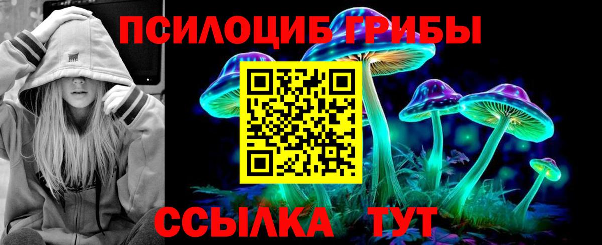 Псилоцибиновые грибы прущие грибы Вязники